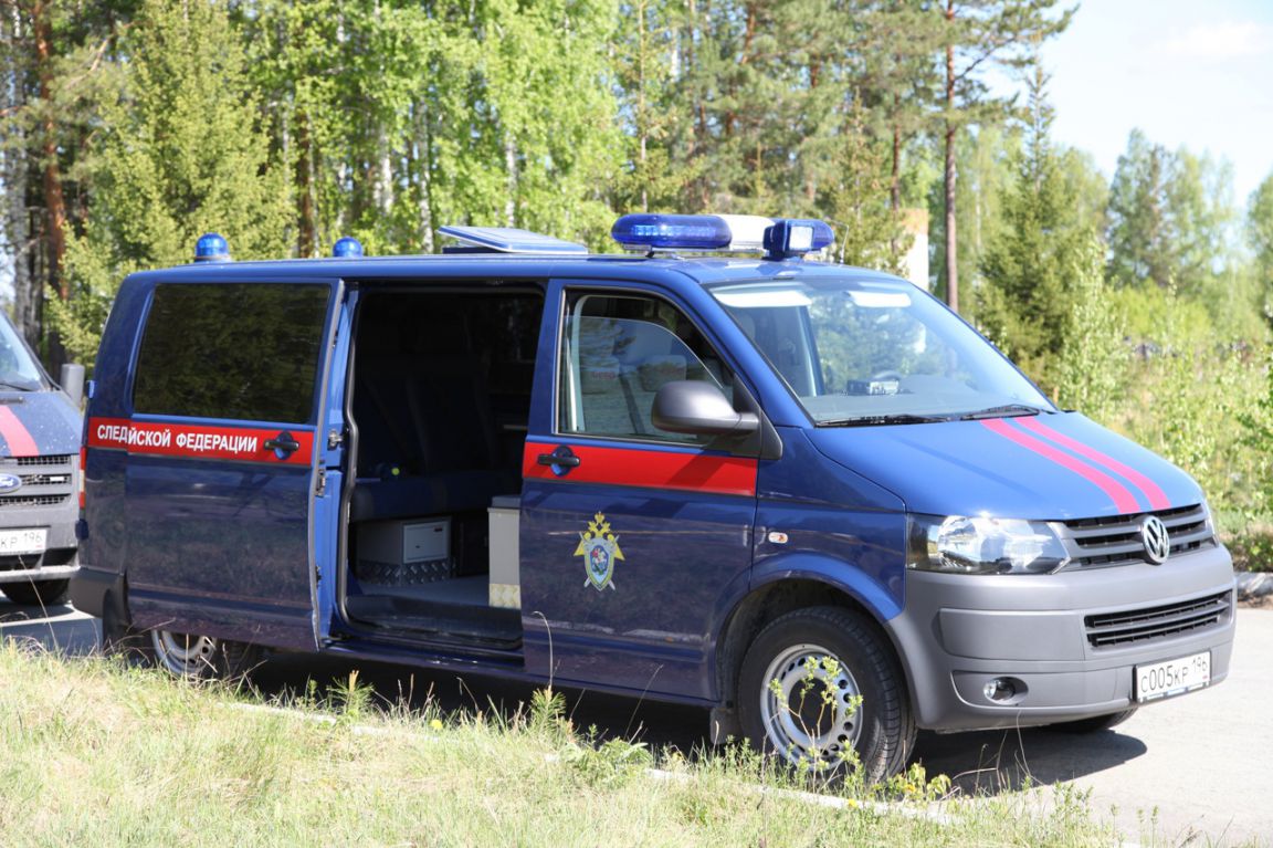 В Свердловской области завершили расследование убийства матери пятерых детей  - «Уральский рабочий»